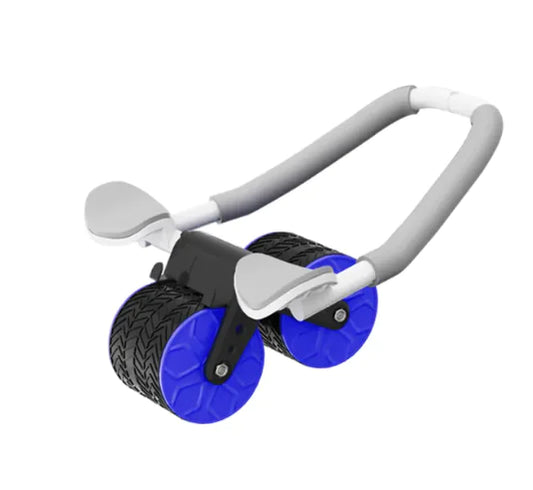Double-Wheel Stability Fitness Roller